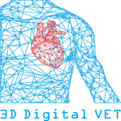 3D Digital VET